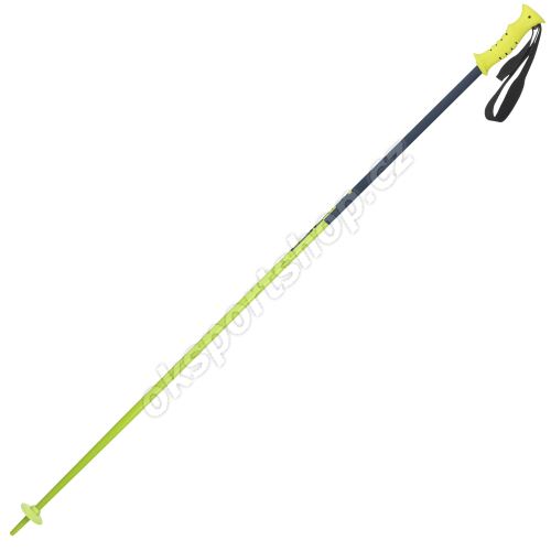 Sjezdové hole Elan SPEEDROD Green 2018/19