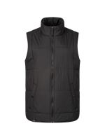 Vesta Hannah Sugar Anthracite